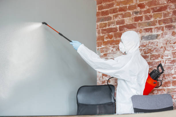 Best Mold Remediation for Healthcare Facilities  in Garberville, CA